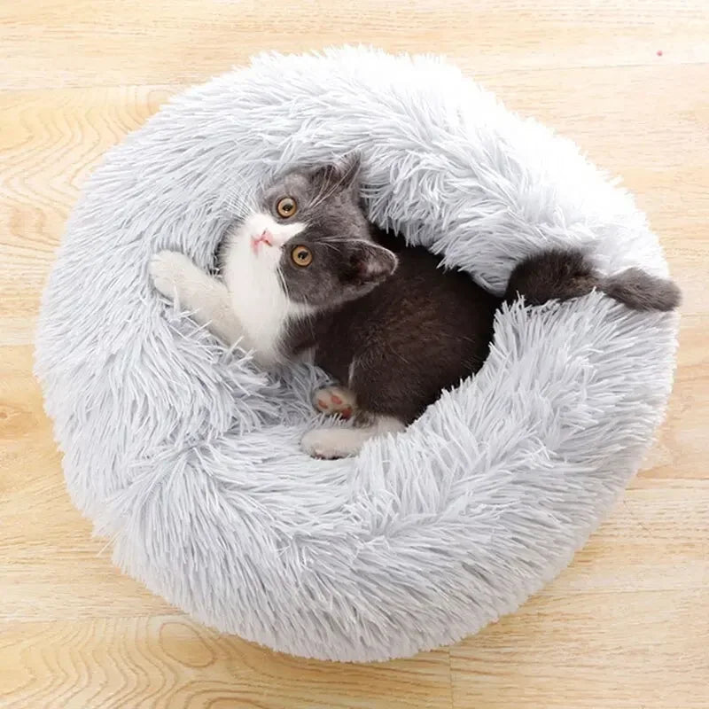 Lit pour Animaux de Compagnie
