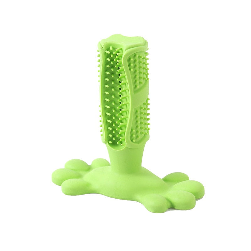 Brosse À Dents Pour Chien