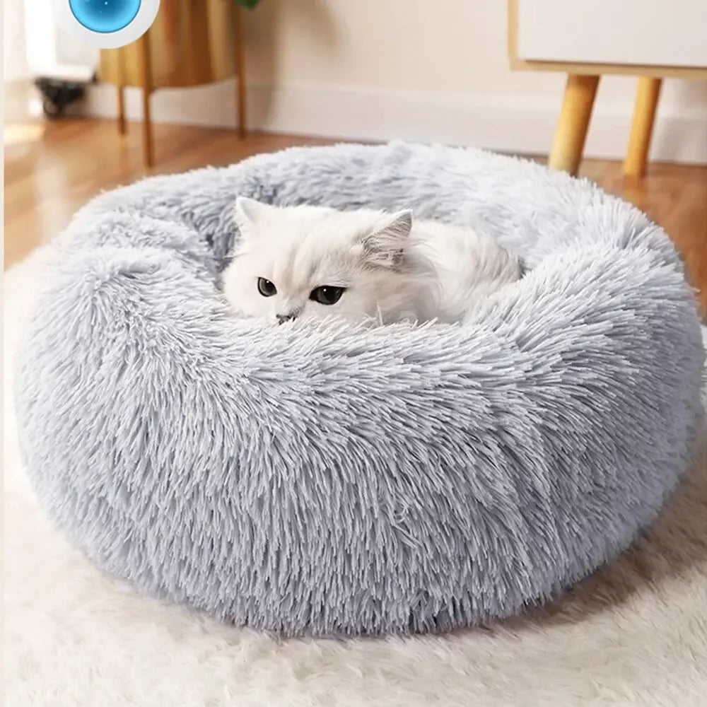 Lit pour Animaux de Compagnie
