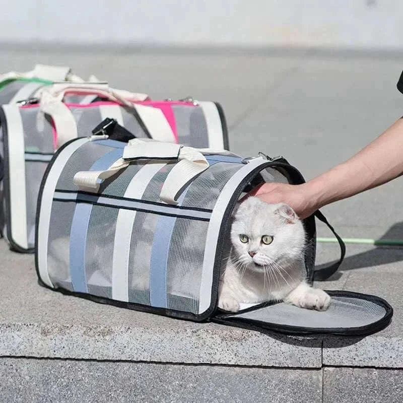 A set of colorful pet harness