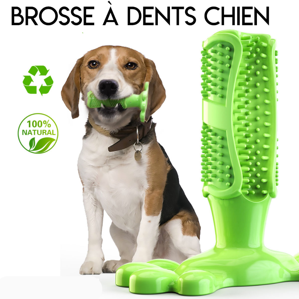 Brosse À Dents Pour Chien