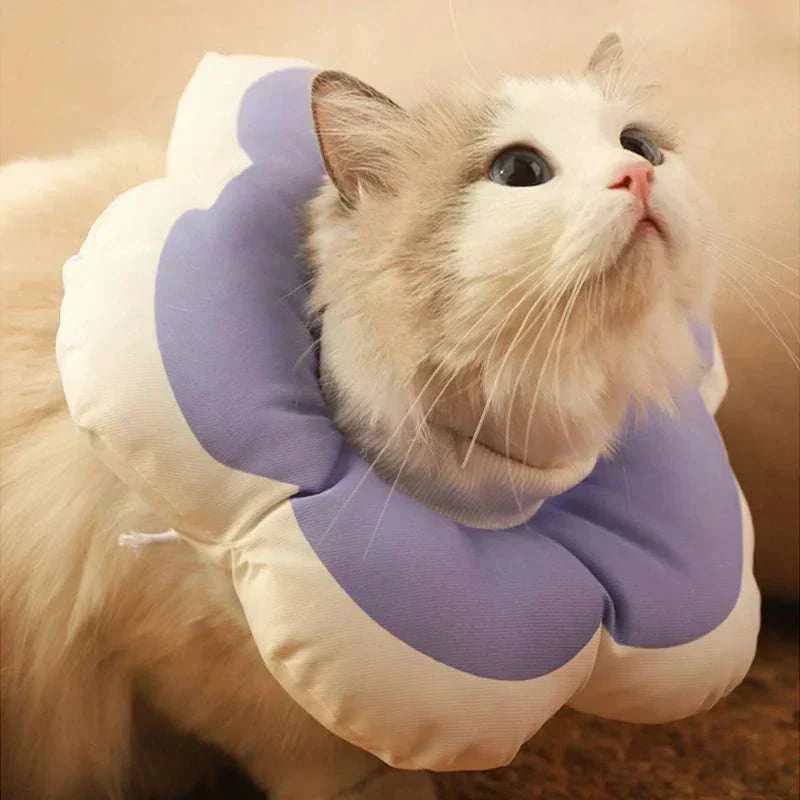 A set of colorful pet harness