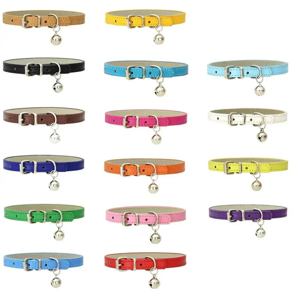 A set of colorful pet harness