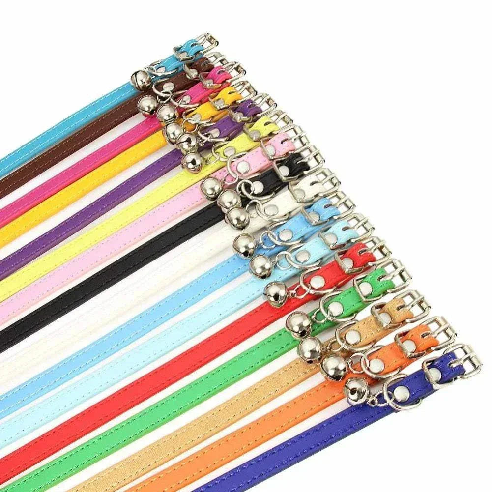 A set of colorful pet harness