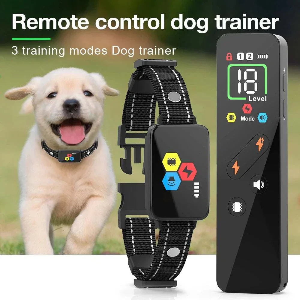 A set of colorful pet harness