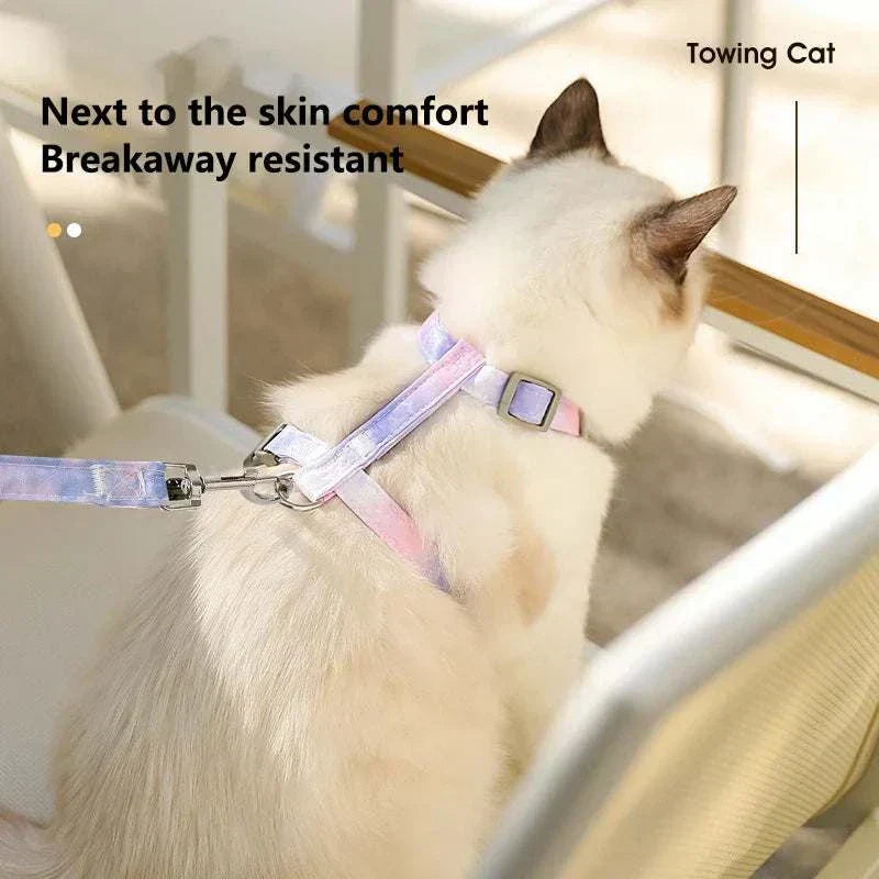 A set of colorful pet harness