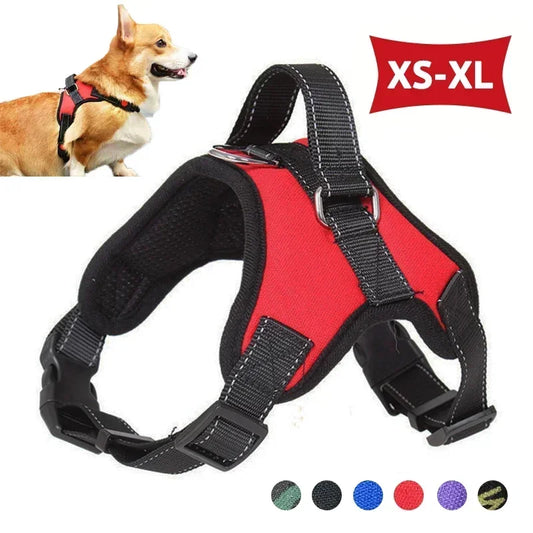Harnais de selle réfléchissant et réglable pour chien