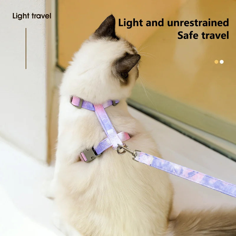 Ensemble harnais et laisse réglables pour chat