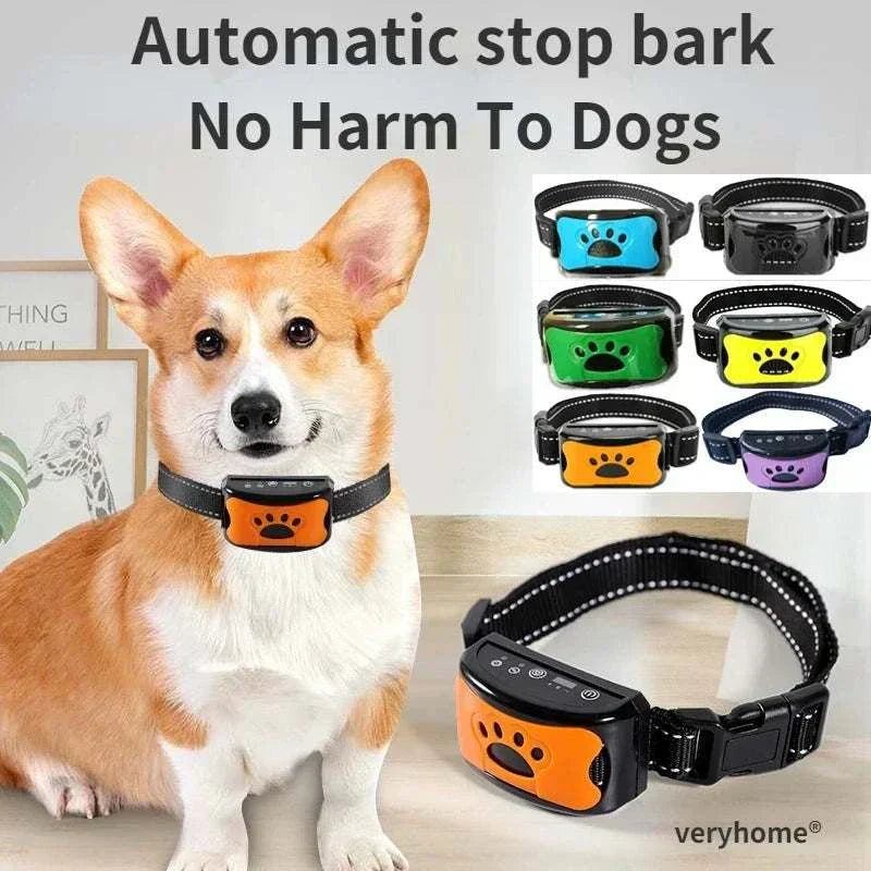 Collier de dressage pour chien anti-aboiements, rechargeable, type C, choc électrique, vibration, étanche, fournitures pour animaux de compagnie