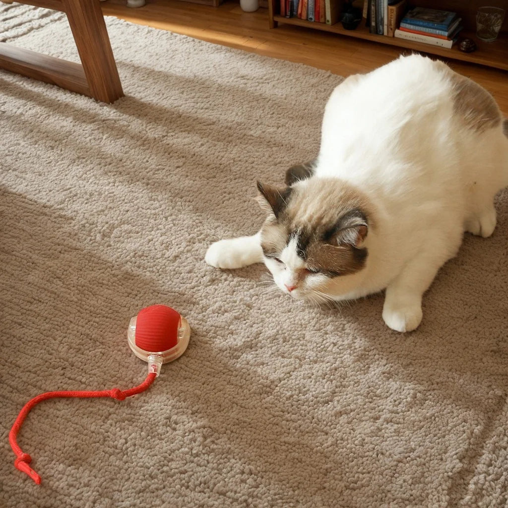 Balle Interactive Automatique LED pour Chat - Jouet Rechargeable Intelligent - SOLANIM