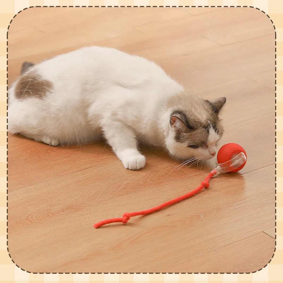 Balle Interactive Automatique LED pour Chat - Jouet Rechargeable Intelligent - SOLANIM